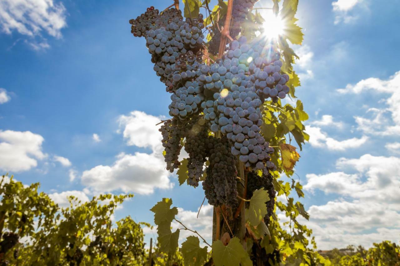 Agriturismo Tenute Poggio Di Bobi Villa Lamporecchio Eksteriør bilde